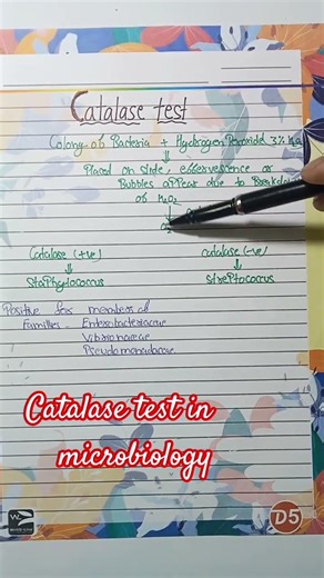 catalase test in microbiology catalase test #medicallabtechnology #microbilogy #mlteducation