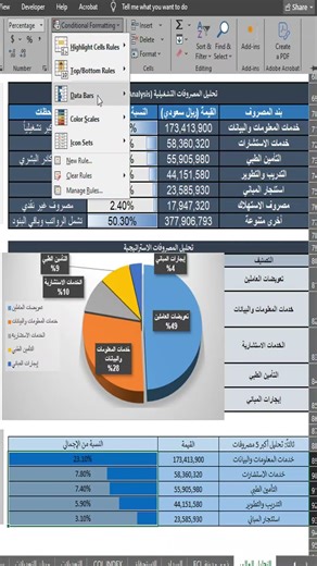 Learn financial data analysis using Excel: How to create a ratio bar. #analysis #Excel #vba