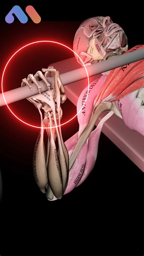 Bench Press: Are You Doing It Right? 🧐 The bench press is one of the most popular strength exercises worldwide, but it’s also one of the easiest to perform incorrectly. Are you making these common mistakes? Learn how to spot and fix them in the Muscle & Motion strength training app. | Muscle & Motion