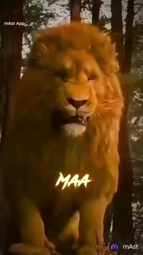 csk come back 💛💛💛💛