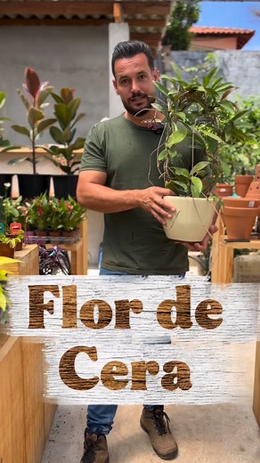 12K views · 1.6K reactions |  Você ainda não conhece a Flor de Cera?...