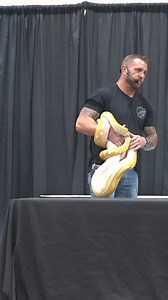 What do I feed…😳 #🐐 #trendingreels #reelschallenge #wildfireretics #reticulatedpython #snakekeeper #reptilelover | Wildfire Retics