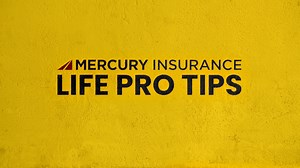 58K views · 23 shares | Ready to try something new? Switch to Mercury Auto Insurance and you could save hundreds! | Mercury Insurance | Facebook