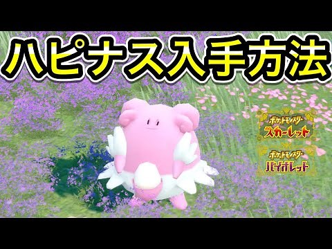 【ポケモンSV】野生ハピナスの出現場所！入手方法を解説！