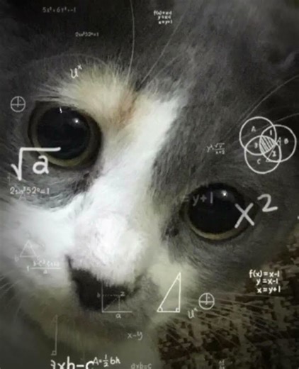 Calculating#memes#funny#trending#fyp#viral#shorts