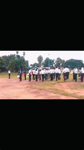 Team Peace Insights: Creator Search Tips for Success