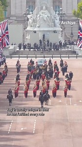 Lord Firebrand, known to those who look after him as Yogi, will be awarded the PDSA Order of Merit today 🏅 Yogi has worked as a Military Working Horse since he was just six years old. He had an incredible 10-year career with The King’s Troop Royal Horse Artillery, before retiring in December 2023! Over the years, Yogi has participated in a full range of State Ceremonial and Public Duty (SCPD) activities, such as the State Opening of Parliament, State Visits and Trooping the Colour. With his str