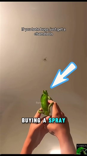 One Bite Problem Gone🤣 #usashorts #funny #shorts