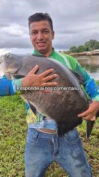 Do you know what time of day tambaqui fish are most active?