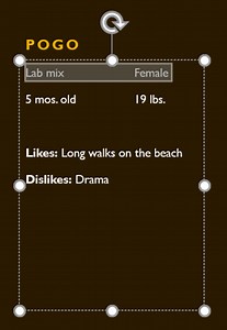 PowerPoint 2016: Text Basics - octaonenetwork’s blog