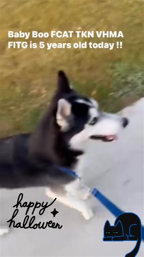 19 reactions · 13 comments | Today is Baby Boo’s fifth birthday! | Alice Banks | Facebook