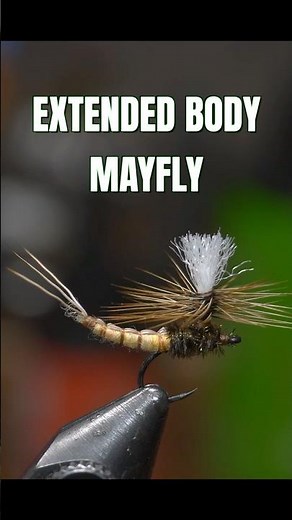 This Extended Body Mayfly Is Easier Than It Looks