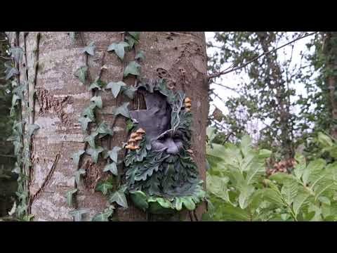 College assignment, 2nd February, 2026, due the 5th February.