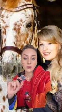 What is a horse flipper?