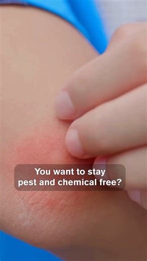 DIY Bug Spray: Eco-Friendly Pest Control