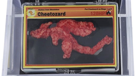 A Cheeto shaped like the beloved Pokémon Charizard is auctioned for $87,840