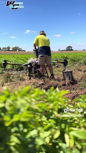 Drone Spraying for Efficient Potato Crop Protection