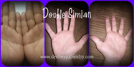 Double Simian or One Simian Line on the Palm - Destiny Palmistry