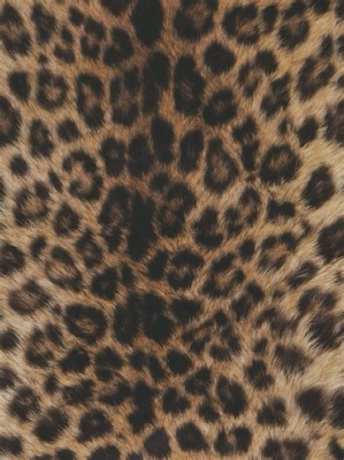 finally edited #demitra II lowk love this but tik tok ofc ruined the quality #demitrakalogeras #kalogerasisters #fyp #xybca @demitrakalogeras @sundaykalogeras @Noah Risling @eliana.kalogeras @Patrisha FOR THE COMP @vspnemma