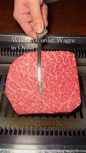 Wagyu Yakiniku Experience in Kitashinchi, Osaka