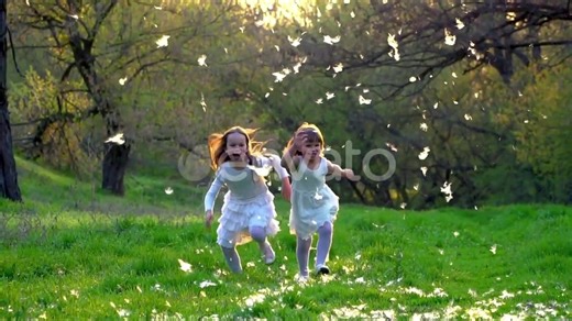 Backyard Safari: Finding Animals in Your Neighborhood