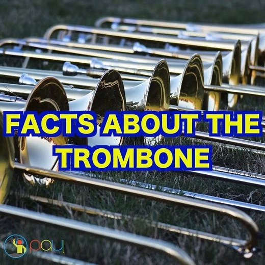 Facts About The Trombone. Trombone book here http://www.paulthetrombonist.com/books | Paul The Trombonist