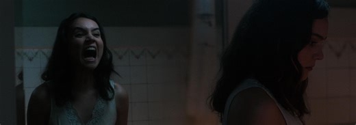 The Free Fall (2022)