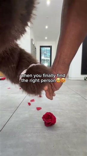 Unbelievable Couple Goals! See What TRUE Love Looks Like ❤️