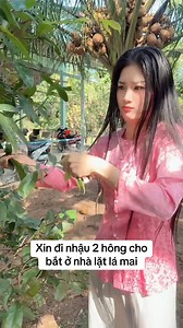 Suri Nguyen on Reels