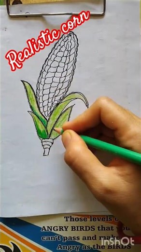 How to draw realistic corn #drawing #art #beginnerarttips #easydrawing #subscribe #viral