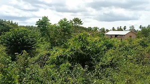 13K views · 141 reactions | LINA Panorama : Concerned Liberian Network's Last Ditch Effort To Save Gahyah Hills After A Violent Thunderstorm On the morning of April 13, 2021, Gahyah Hills, the biggest town in Seinjeh district, Bomi County, was struck with a double-cell thunderstorm, leaving behind thousands of dollars in destruction. Help is finally on the way! | Perspective Pro - Lib | Facebook