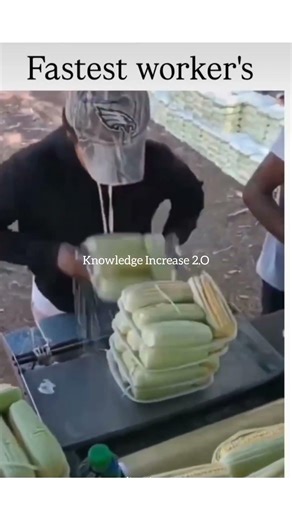 World’s Fastest & Hardest Workers Compilation ⚡#amazingskills