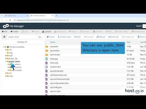 How to Create a New File or Folder in cPanel File Manager | Host.co.in Guide