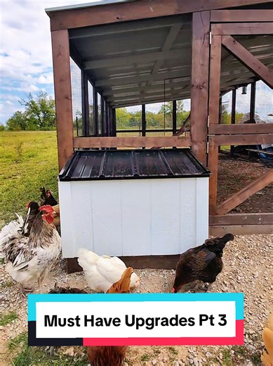 Daily feeding is overrated!! I used to refill feeders constantly, spill feed everywhere, and somehow still run out at the worst times. This setup completely changed that. Our 200lb feeder holds enough feed to last for weeks, keeps everything in one place, and makes daily chores way easier. • Less refilling • Less waste • Way less hassle Honestly, this might be one of the best upgrades we’ve made so far. Oh and by the way... Vacation Mode Ready!! #backyardchicken #chickenfeeder #farming #chickent