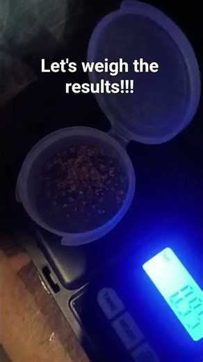 let's weigh the test run!!! #goldweighing #gold #goldpanning #placergold #prospecting #goldmining