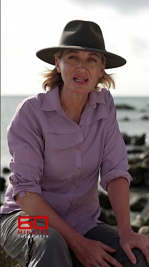 SNEAK PEEK: A grandmother on a luxury cruise ship left to die on a remote island | 60 Minutes