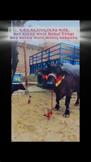 Instagram video by Mohit Tyagi • Feb 3, 2026 at 3:41 AM