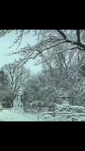 A huge thank you to Fanshawe Conservation Area for hosting and supporting us again this year! ✨ Their beautiful facility creates the most magical route for our millions of lights to shine plus they do an amazing job at keeping the roads safe and clear for all our visitors ☃️ Video from Fanshawe Conservation Area after our latest snowfall! ❄️ #MagicalDrive2025 #magicoflightslondon #ldnontario #ldnont #forestcity | Magic of Lights - London