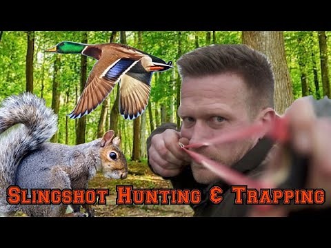 Catapult / Slingshot Hunting and Trapping! Catty Shack