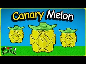 How to Get CANARY MELON + Showcase in Grow a Garden (Roblox)