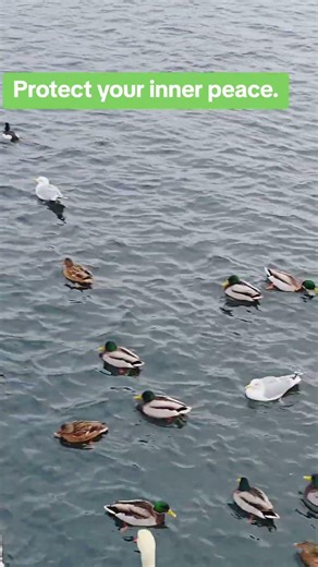 How Do You Protect Your Inner Peace?