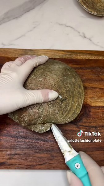 Live Scallops! Whether you’re a seafood lover or just curious about trying something new, live scallops are a fantastic choice. These little treasures from the sea offer a unique taste experience with their delicate flavor, and tender texture! #scallops #howto #seafood #shellfish #seafoodlover #staytuned