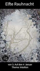 🌟Rauhnacht 11 Intuition✨️Manche Antworten kommen nicht als Gedanken,sondern als leises Gefühl 🤍🩵💚🌟