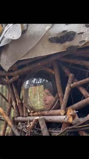 He survived the polar bears by building an amazing shelter 🦅 #survival #latinshorts