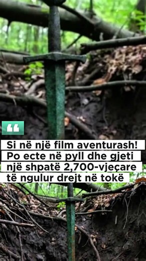 Si në një film aventurash! Po ecte në pyll dhe gjeti një shpatë 2,700-vjeçare të ngulur drejt në