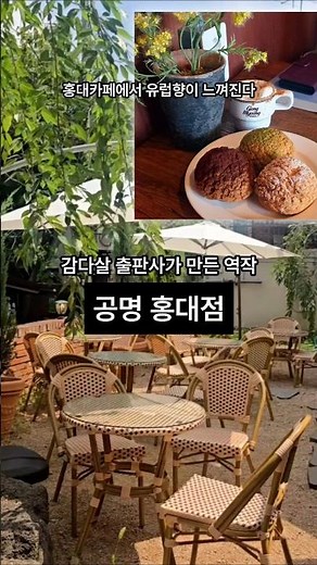 항공권 없이 유럽 다녀왔어요! 홍대 골목에 숨겨진 분위기 미친 카페
