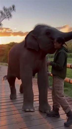 This Bond Feels Unreal