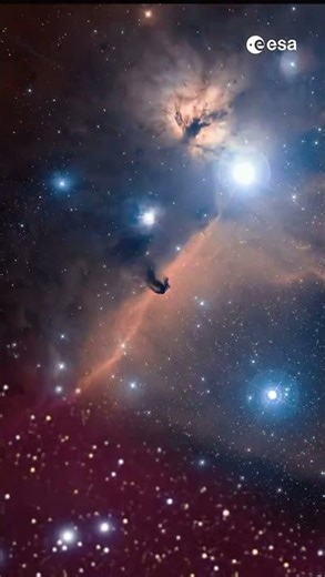 Zoom into the horsehead nebula