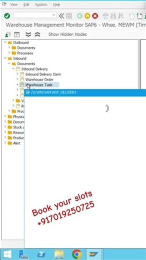 Ewm monitoring and reporting in sap embedded ewm #sap#saptraining#ewm#sapproject#sapworkflow#mumbai