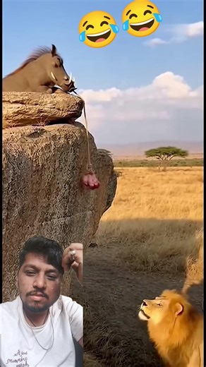 Lion’s biggest "Fail" of Season 2! 📉